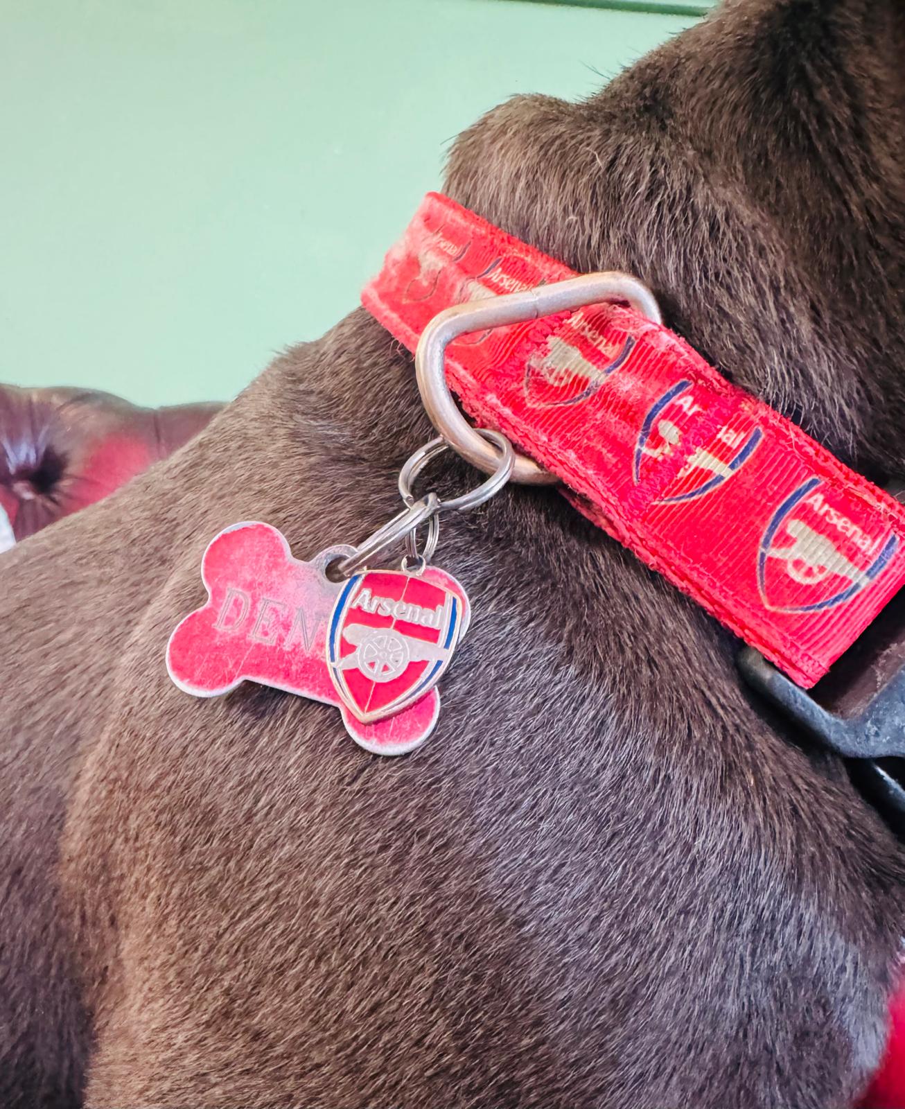 ARSENAL SMALL METAL CHARM  Charity Donation from Sale.