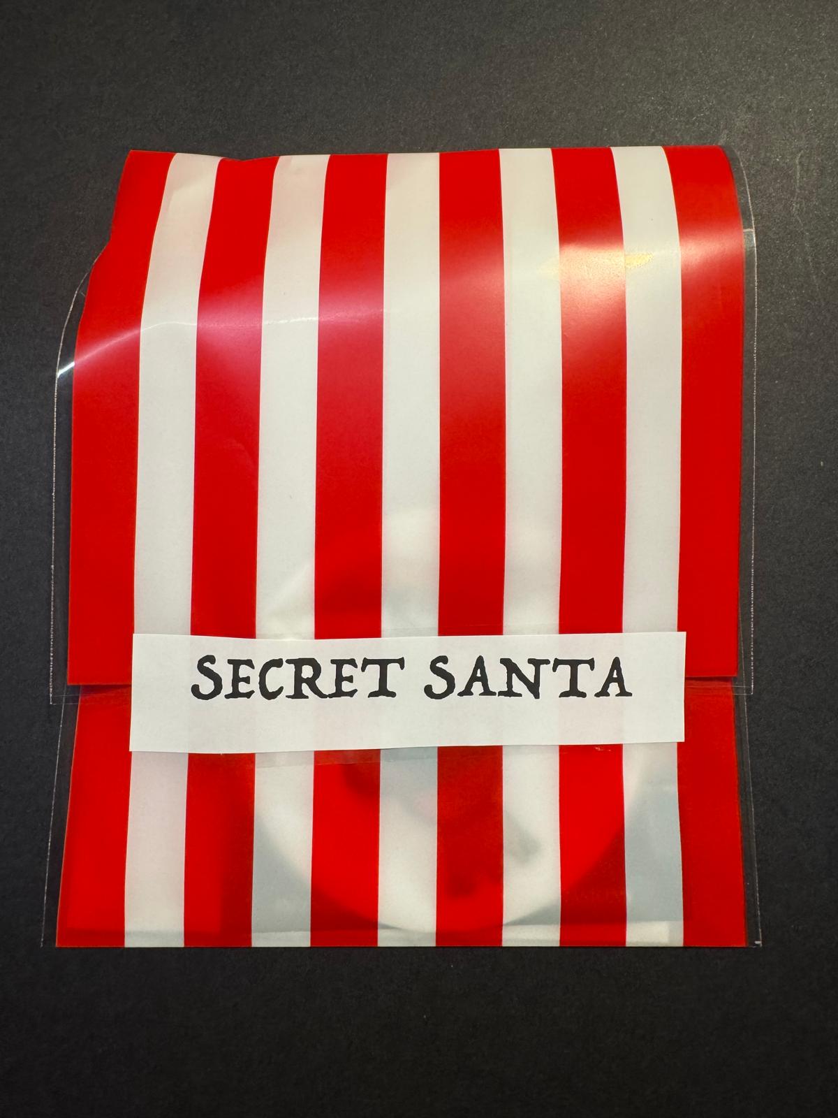 SECRET SANTA SMALL BAG - By Ruth Beck Art