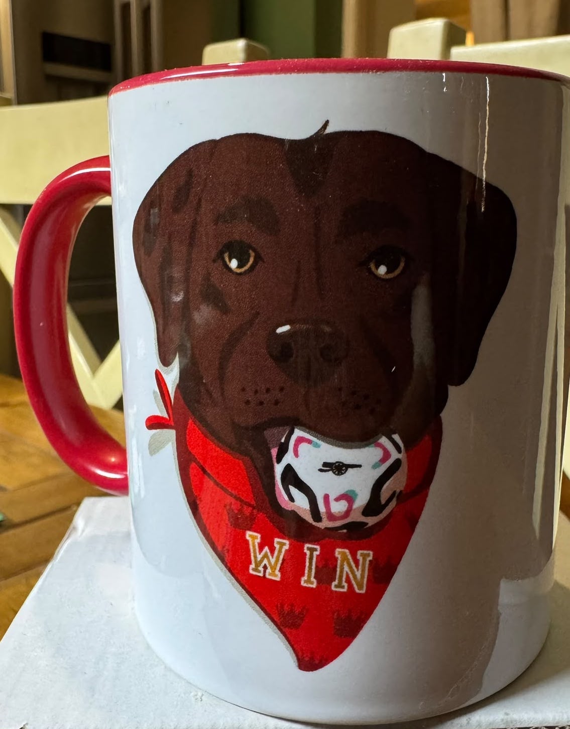 WIN THE DOG 11oz CERAMIC MUG - ARSENAL