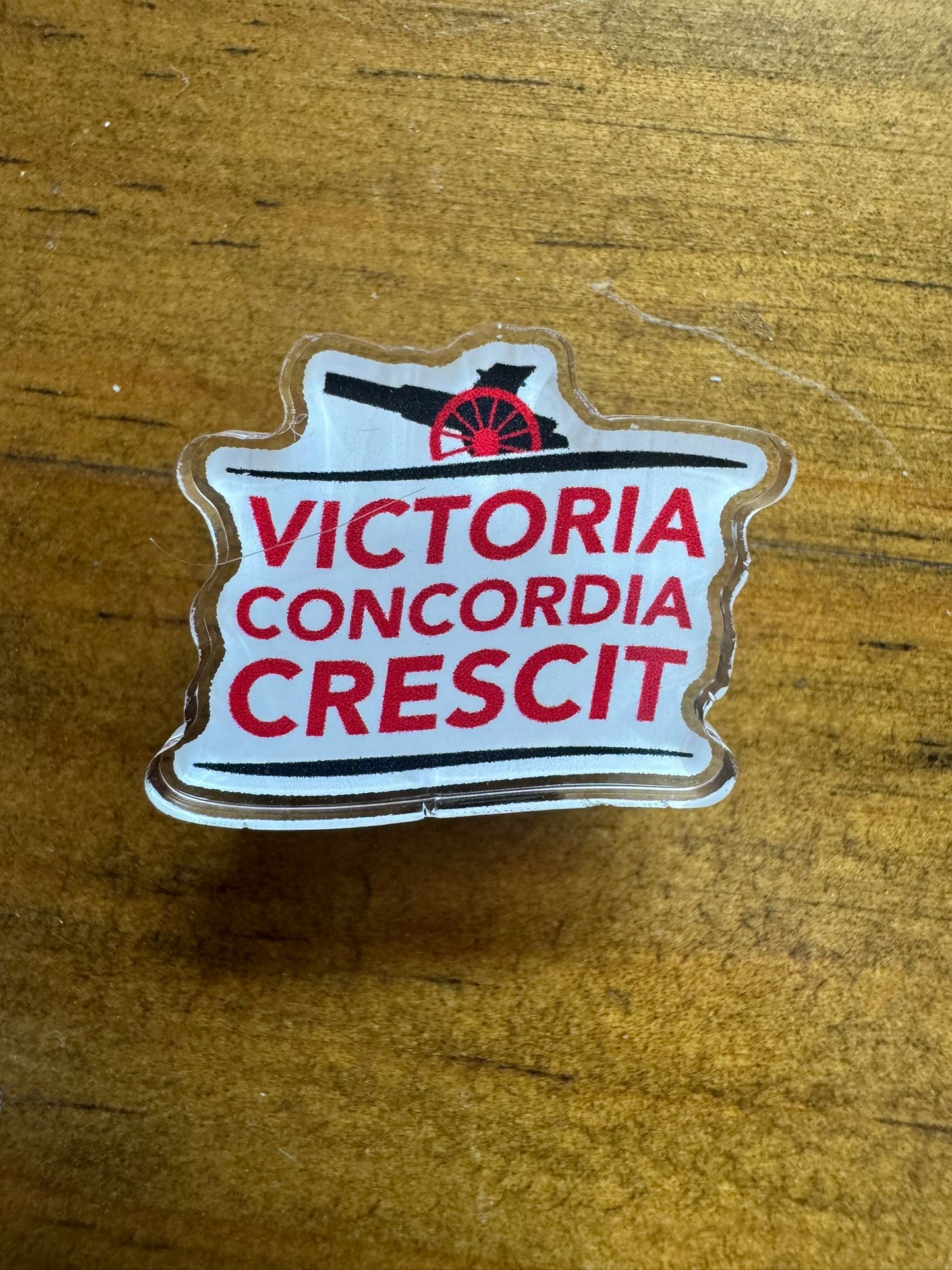 Victoria Concordia Crescit - Custom Pin Badge